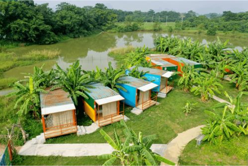 新春采摘，田園趣游 金穗與九龍?zhí)渡鷳B(tài)園兩日樂活指南